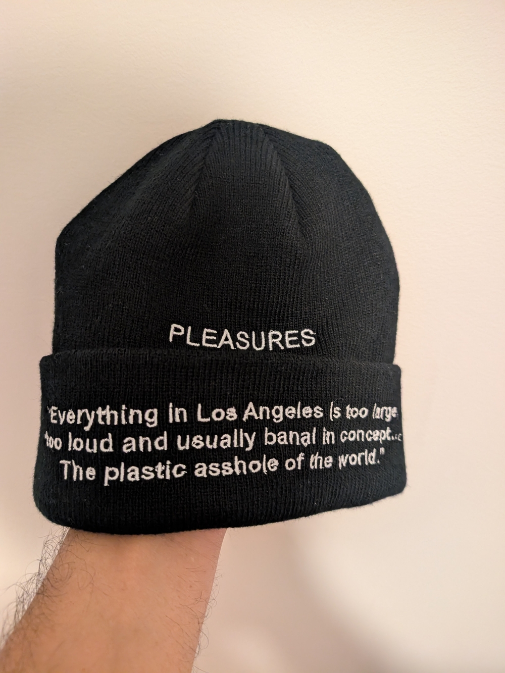 Pleasures Beanie